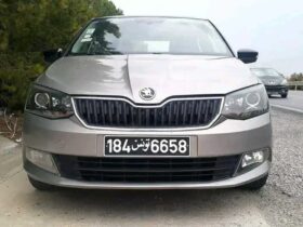 SKODA FABIA HATCH PREMIRE MAIN EN EXCELLENT ETAT TELE 29195223