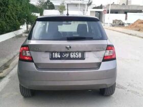 SKODA FABIA HATCH PREMIRE MAIN EN EXCELLENT ETAT TELE 29195223