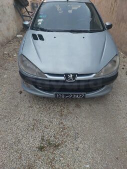 Voiture Peugeot 206 complet