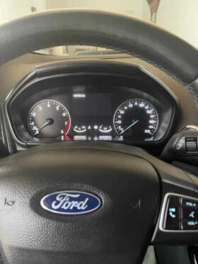 ford ecosport 1er Main